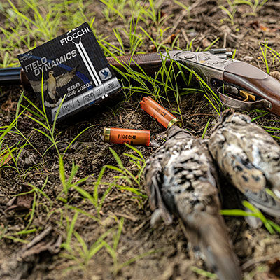 Best Shotshell Loads for Dove Hunting