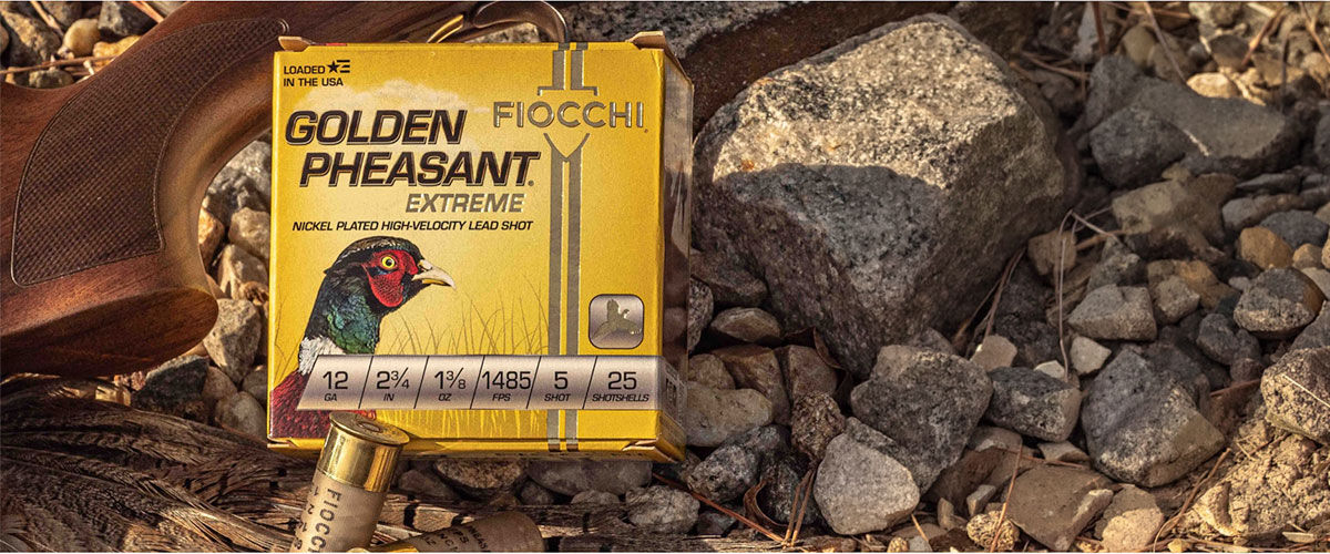 box of Golden Pheasant next to a shotgun on rocks
