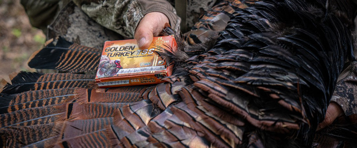Golden Turkey TSS box being hold next to a turkey