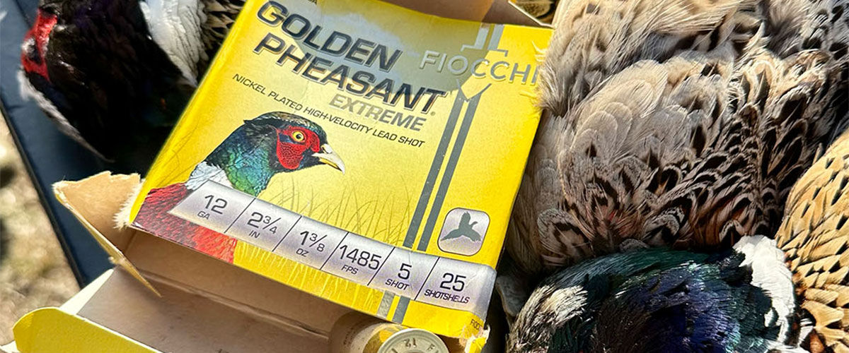 Golden Pheasant box next to pheasants
