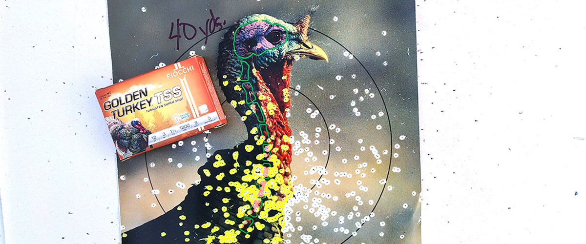shot turkey target with a box of Golden Turkey TSS