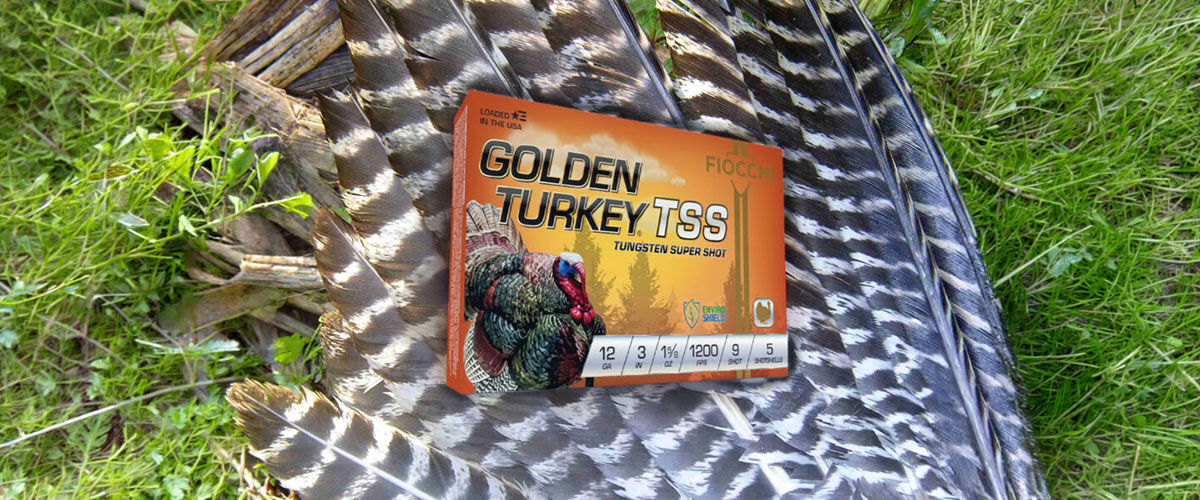 Golden Turkey TSS on a turkey tail