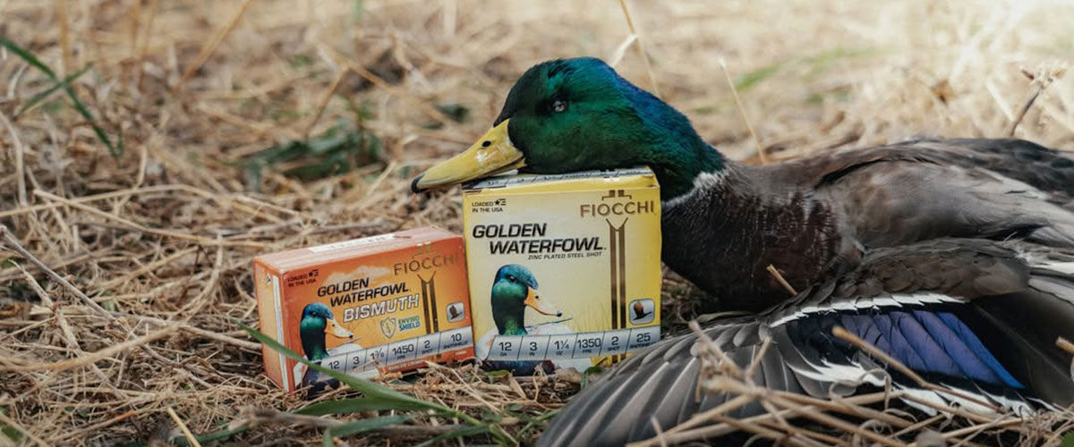 duck laying on a box of Golden Waterfowl and Golden Waterfowl Bismuth