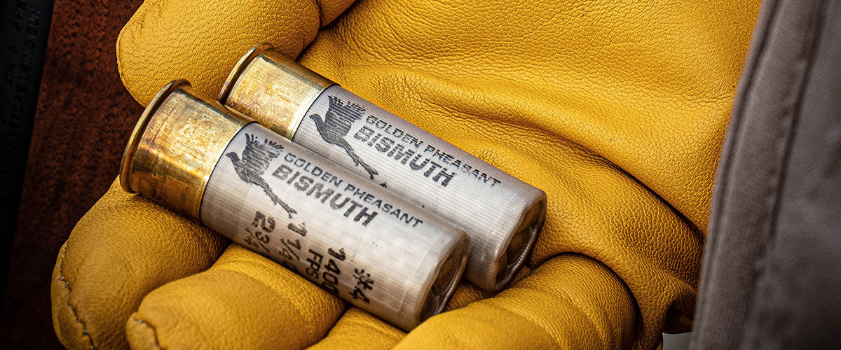 hunter holding Golden Pheasant Bismuth shotshells