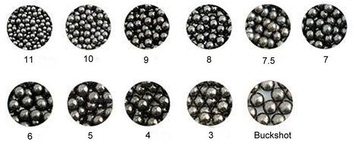 image of the different shot size pellets
