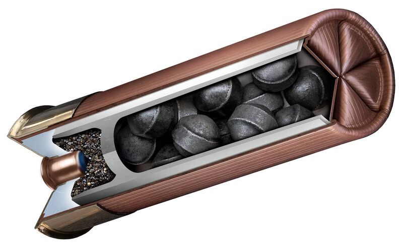 Dead Coyote, 12 Gauge, 00 Buck Shot, 3 in, 1350 fps