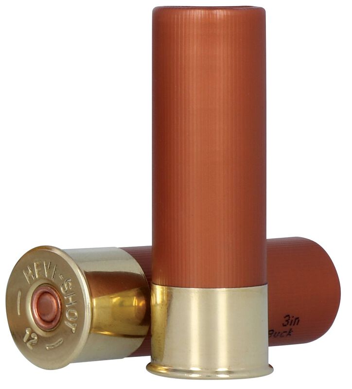 Dead Coyote, 12 Gauge, 00 Buck Shot, 3 in, 1350 fps