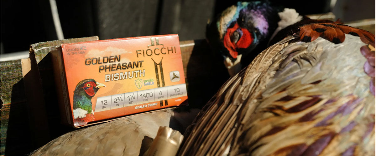 Golden Pheasant Bismuth box next to a pheasant