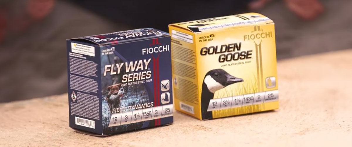 flyway Series and Golden Goose box on a table
