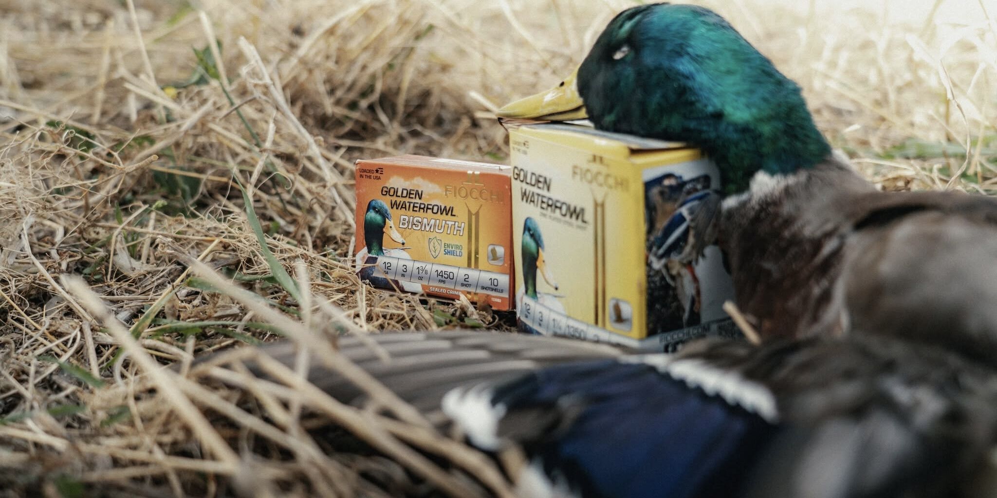 Golden Waterfowl Bismuth and Golden Waterfowl box next to dead duck in dry grass