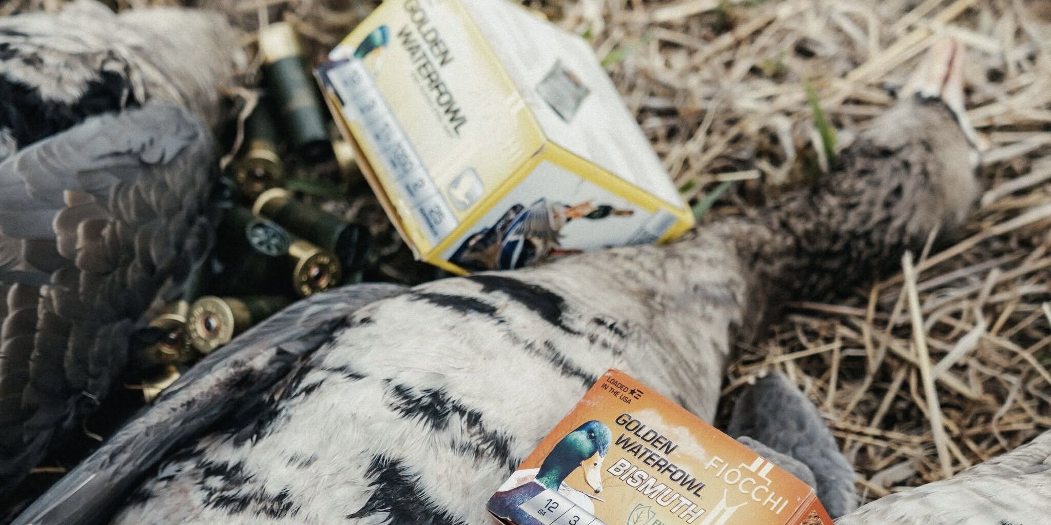 Golden Waterfowl and Golden Waterfowl Bismuth next to dead ducks
