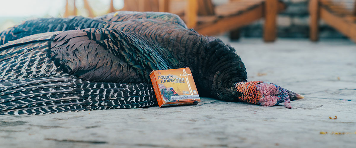 Golden Turkey TSS next to a turkey