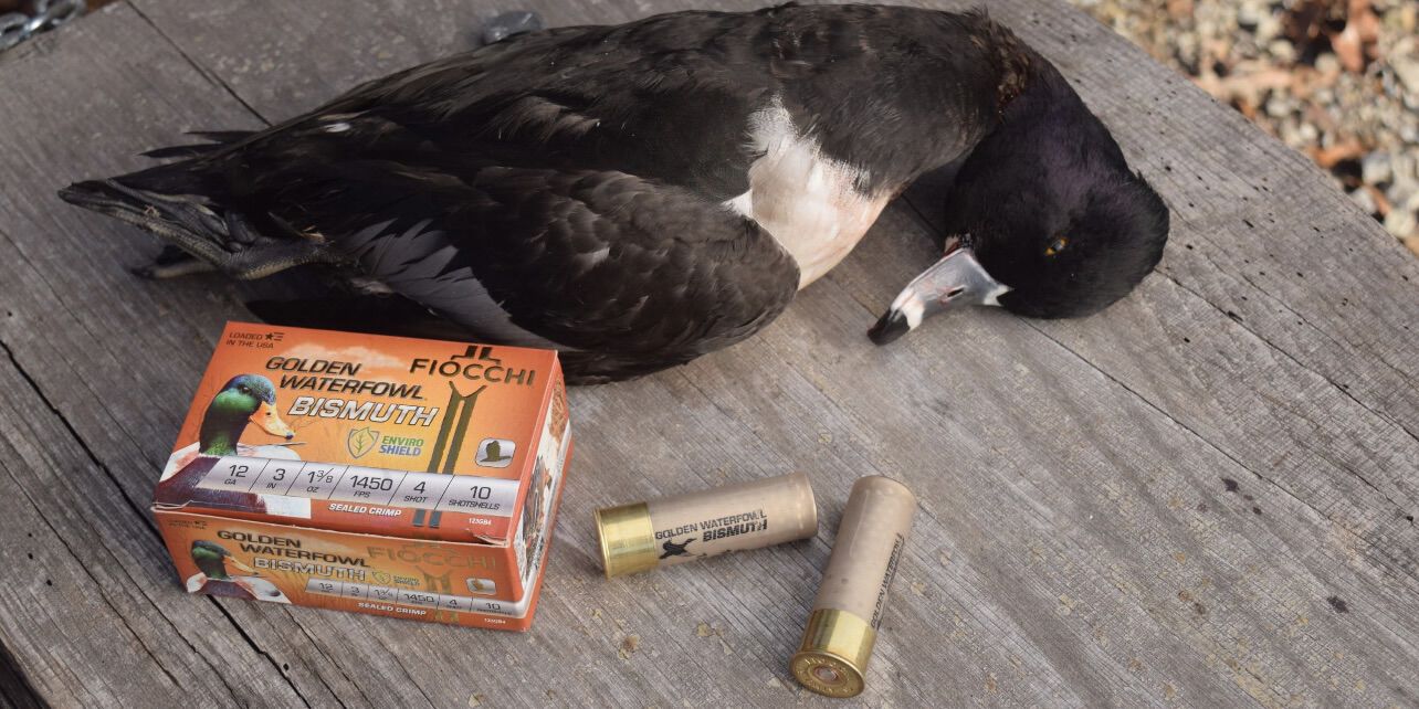 dead duck next to Golden Waterfowl box and shotshells