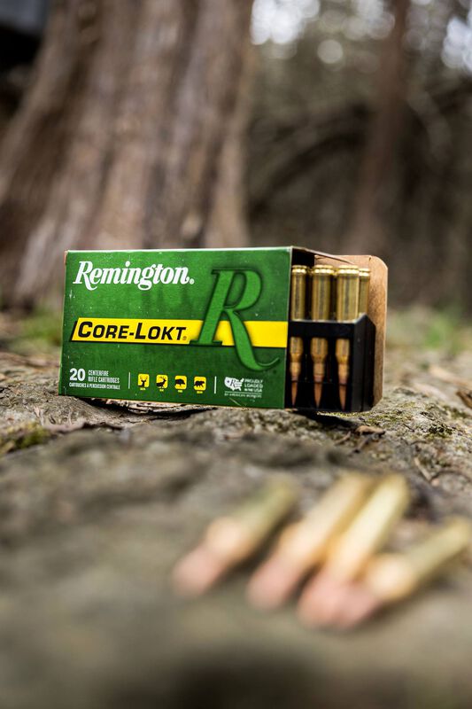 Core-Lokt, 450 Bushmaster, 260 Grain, Pointed Soft Point Core Lokt, 2040 fps